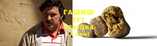 гашик Алексин