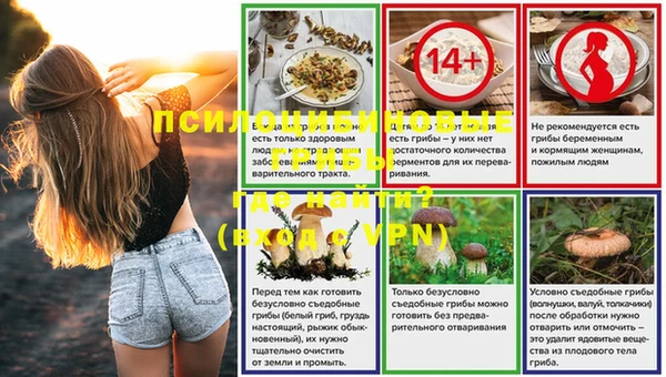эйфоретик Армянск