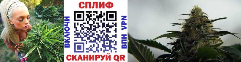 Бошки марихуана AK-47 Дмитров